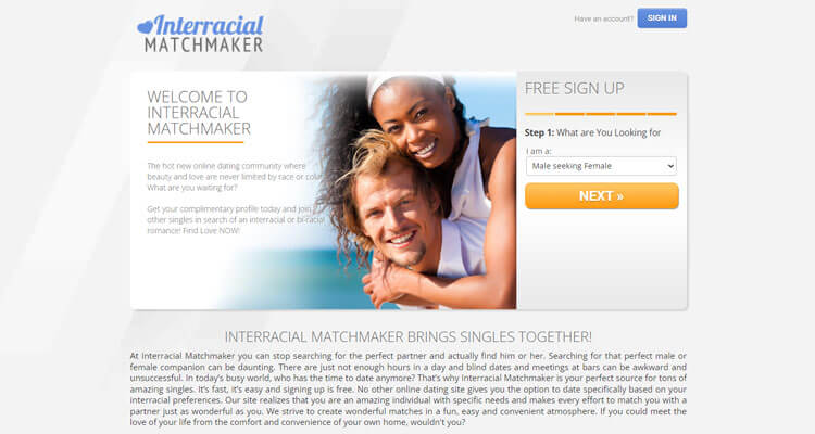 Interracial Matchmaker Review Homepage